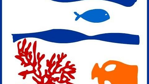 Bando per la selezione di 4 agenti di Polizia Municipale per la sorveglianza dell’AMP