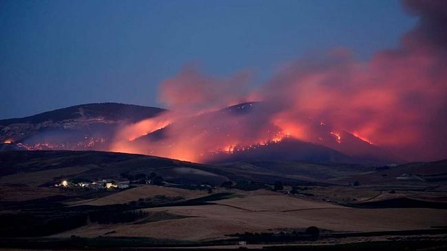 Incendi a Montagna Grande, Tranchida e Pellegrino vogliono vederci chiaro