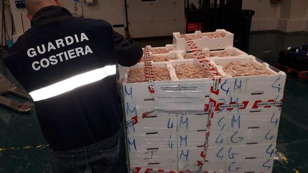Pesce adulterato con calce edilizia e acqua contaminata