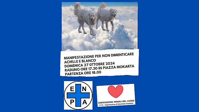 Mazara, domenica 27 ottobre manifestazione per Achille e Blanco, i due cani di quartiere barbaramente uccisi 