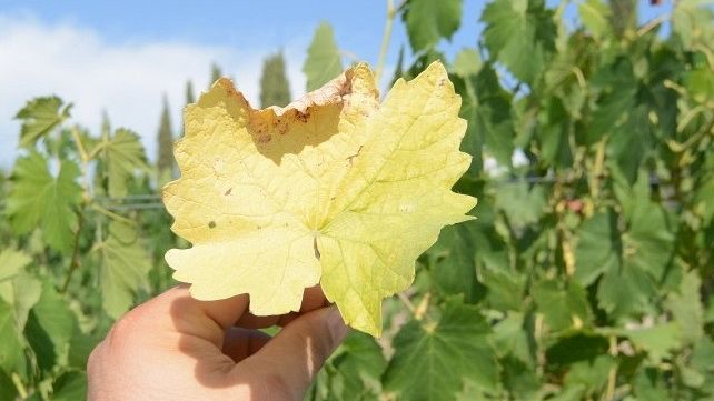 Il direttivo dei Guardiani del territorio critico sui ristori per la siccità 2024