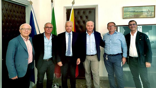 La Regione Sicilia risarcirà le aziende dai danni causati dalla peronospora