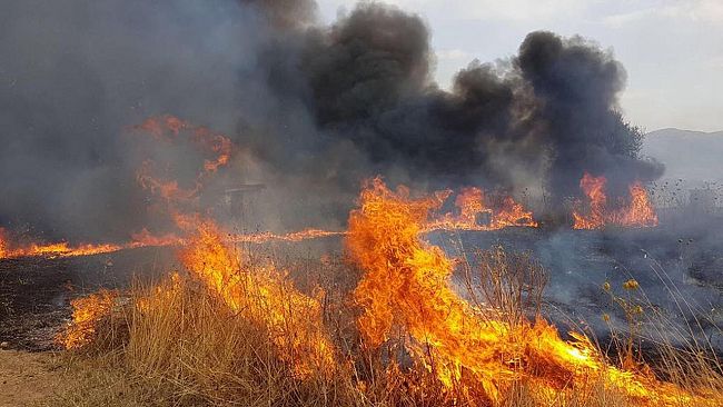 Mazara, eliminazione sterpaglie e pulitura terreni per la prevenzione Rischio Incendi, il Sindaco emana l’ordinanza
