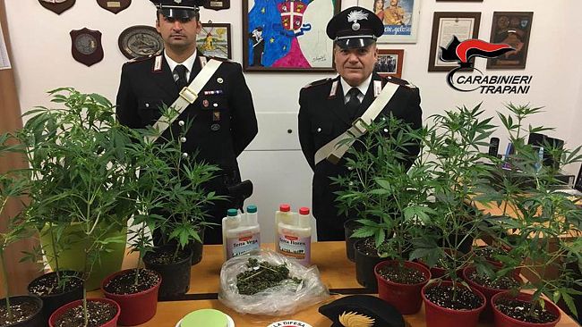 Marsala, Carabinieri in azione: un arresto per coltivazione di marijuana