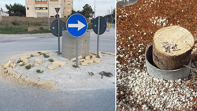 Mazara, ignoti portano via il pino natalizio collocato dal Comune in contrada Boccarena