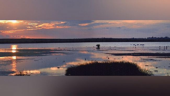 Laguna di Tonnarella. Corrao (Greens): “Cittadini di Mazara preoccupati, Sindaco fornisca carte e ascolti associazioni”