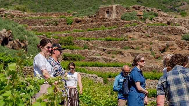 Pantelleria DOC ha accolto i 