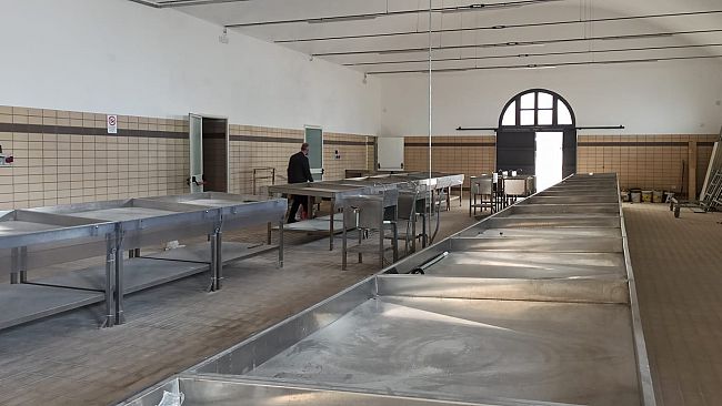 Mercato Ittico, ultimi giorni per partecipare all'assegnazione di posteggi 