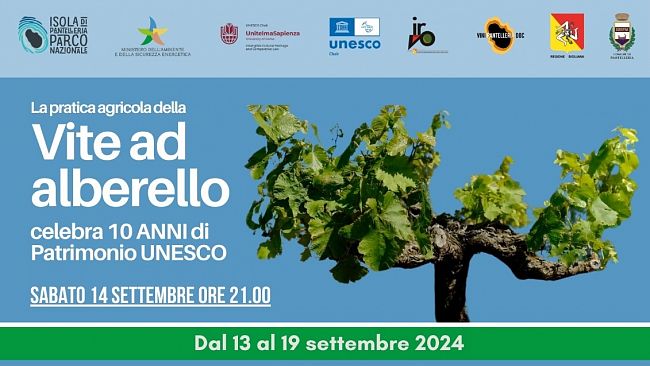 Pantelleria, settimana dedicata alla vite ad alberello: presente l'alta rappresentanza Unesco