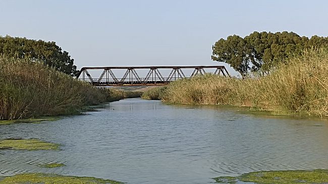 Rotary club , progetto adotta l'oro blu della foce del fiume Belice