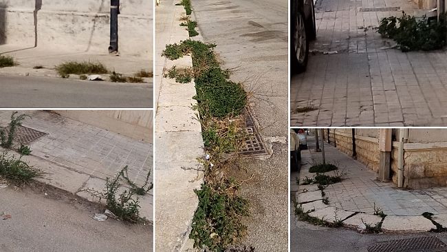 Trapani. Cresce il degrado lungo la via Del Cipresso