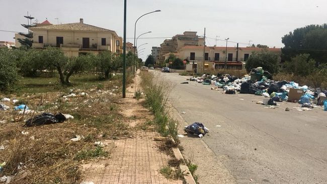 La carcassa di un cane vicino ad una scuola. Lo denuncia il TDM
