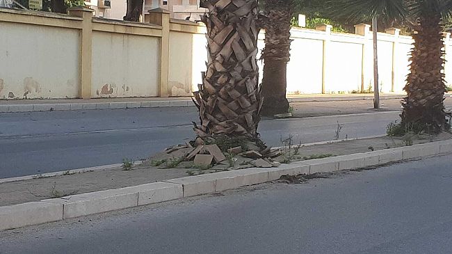 Trapani, “Diventerà Bellissima” chiede il ripristino dei marciapiedi di Corso P.Mattarella