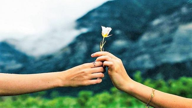 Ultime della sera: “Il valore di un dono”