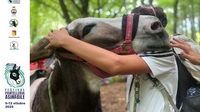 Pantelleria, ad ottobre la prima edizione del festival dedicato all’asino pantesco