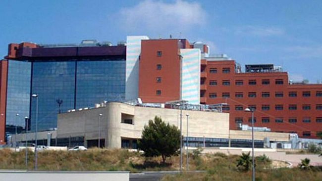 L'ospedale di Marsala apre le porte a cani, gatti e conigli per supporto ai pazienti