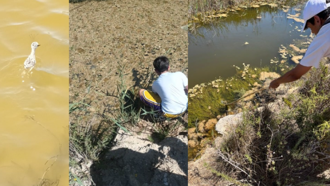 Mazara, gli studenti del'IISS R. D'Altavilla a Capo Feto per il progetto 