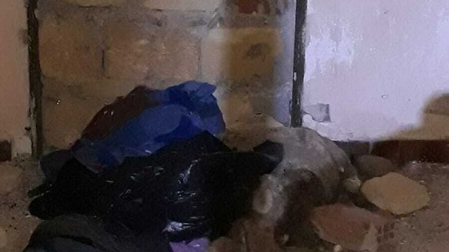 Orrore ad Alcamo, rinvenuti cani senza vita in un edificio