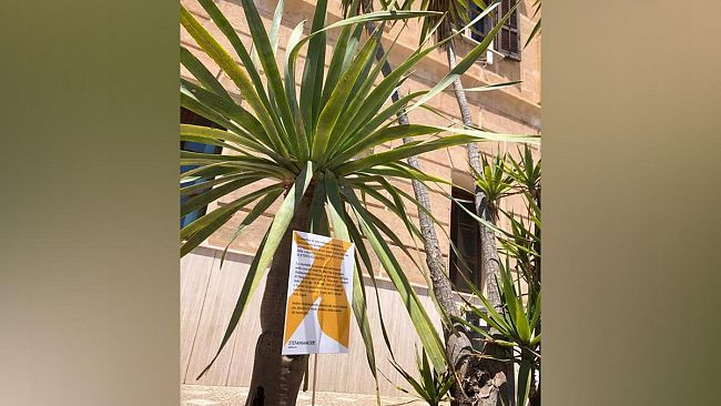 Favignana, dal Blu al Verde, In azione da oggi il “Green Team” di STEFANIA MODE