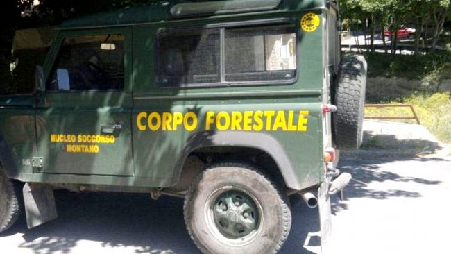 concorso-forestale-sicilia-stop-del-tar-allesclusione-del-candidato-senza-esami-approfonditi