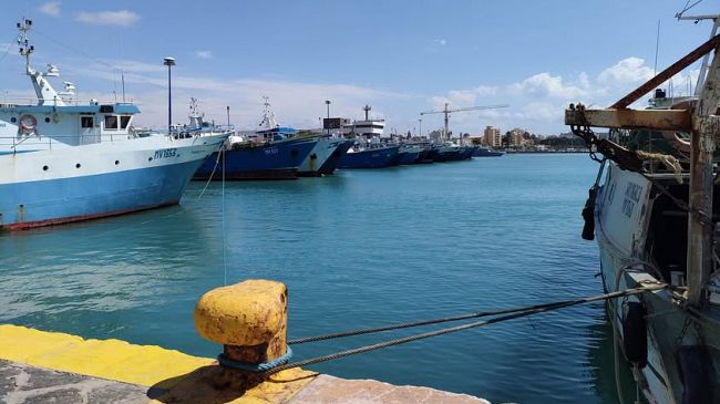Credito d’imposta per il settore ittico, Federpesca: “Ora servono tempi rapidi”