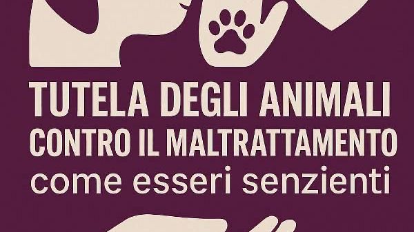 il-monito-del-sindaco-lentini-gli-animali-si-rispettano