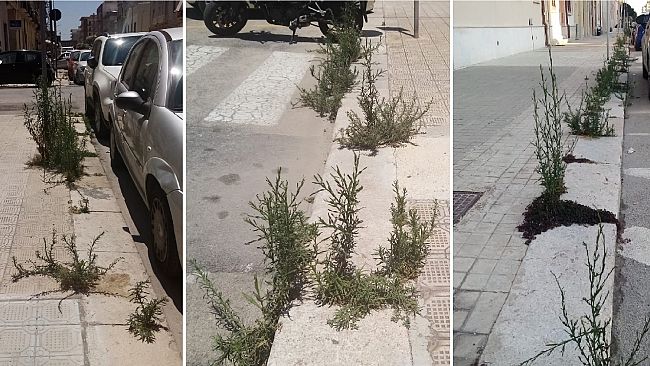Trapani. Cresce il degrado lungo la via XX Settembre