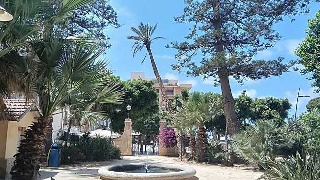 palma-pericolante-a-villa-cavallotti-laccesso-fruibile-da-via-cesare-battisti
