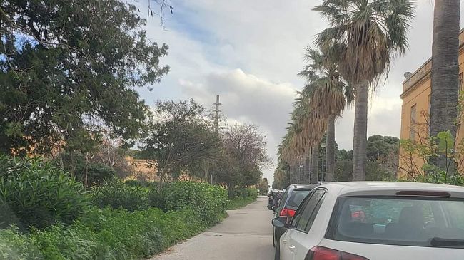 Usca in tilt, errori e ritardi dell'Asp sui tamponi paralizzano Trapani ed Erice