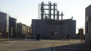 Odori nauseabondi, in corso la “vendetta” della Bertolino?