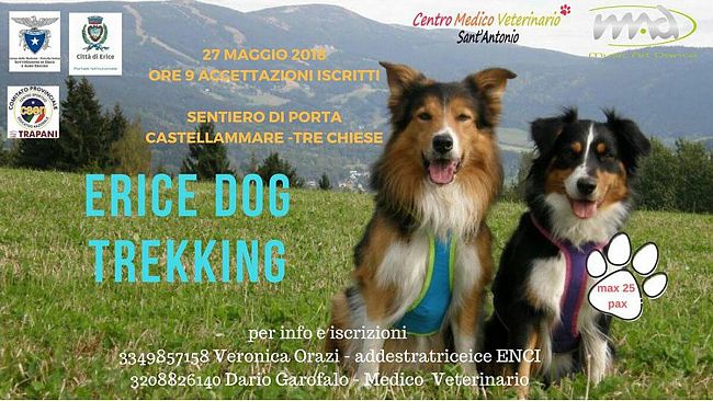 “Erice Dog Trekking”: come unire la passione per la natura e l’amore per il proprio cane