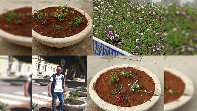 Trapani, prove di verde in città: in arrivo 500 lantane