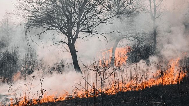 Incendio vicino a complesso turistico a Sciacca, sgomberato hotel