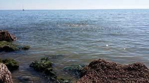 S.O.S. Depuratore: ritornata ancor più la puzza e nuovo problema al pennellone