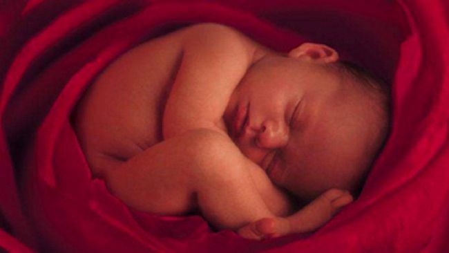 Elena Di Pietra (PdF): “La vita è la vita, difendila”. Così concluse il suo Inno alla vita Madre Teresa di Calcutta