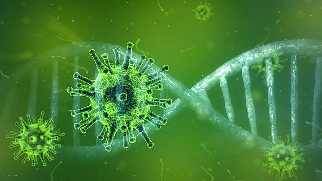Coronavirus, aggiornamento provinciale: 59 i positivi, ricoverati 26, un decesso