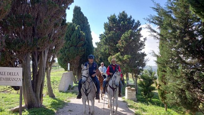 Alla scoperta del territorio trapanese a cavallo: un viaggio tra storia e natura