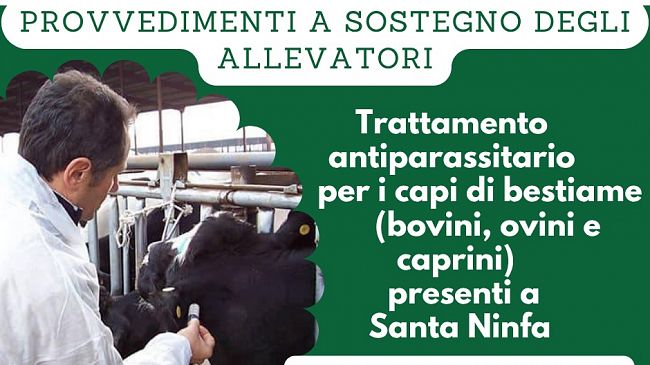 Santa Ninfa sostiene gli allevatori con trattamenti antiparassitari gratuiti per bovini, ovini e caprini