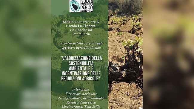 Pantelleria. Una giornata dedicata a valorizzare la sostenibilità ambientale