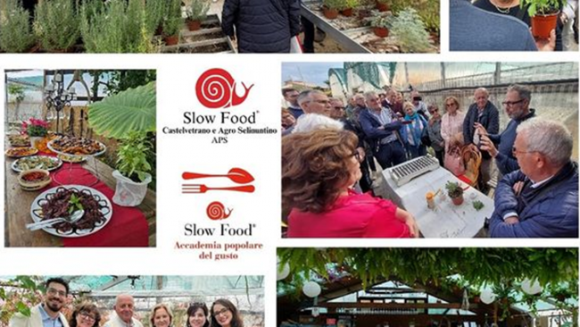 Parte l'Accademia Popolare del Gusto organizzata dall’Associazione Slow Food Castelvetrano e Agroselinuntino