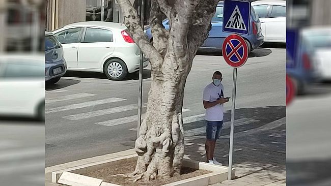 Felice Evacuo verso il ritorno al Trapani