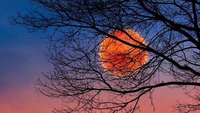 Ultime della sera: “Occhi puntati verso il cielo: arriva la Luna del Cacciatore”