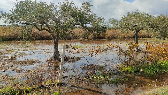 “Entro una settimana l’intervento” per sistemare perdita di acqua nel tratto mazarese dalla condotta di Bresciana