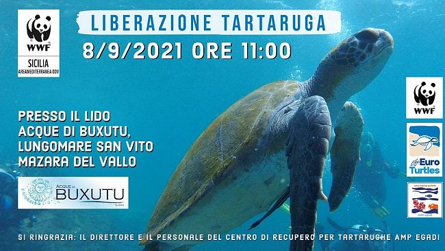 Liberazione Tartaruga presso il litorale San Vito a Mazara del Vallo
