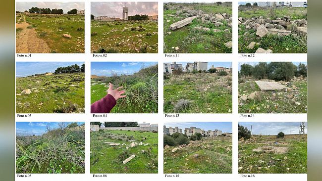 Aggiudicata la gara per il restauro della vegetazione in contrada Affacciata