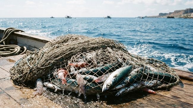Ciclone Harry: pubblicato l'elenco dei ristori per il settore pesca in Sicilia