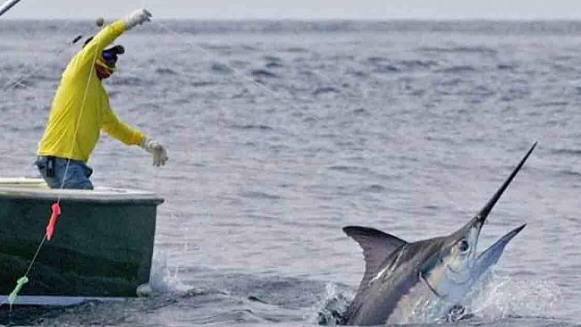 Palermo, si è riunito il Consiglio regionale della Pesca