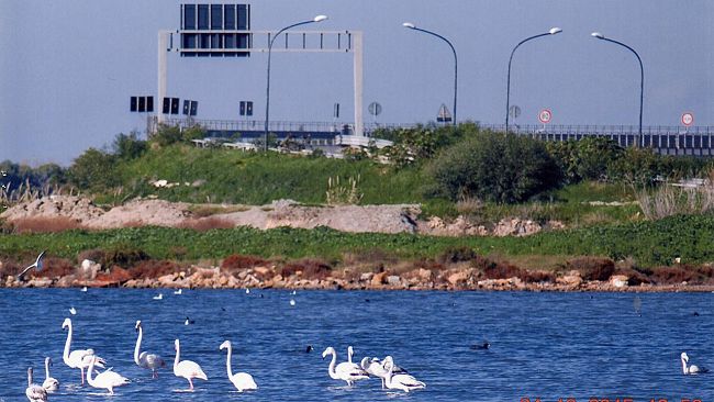 Mazara, il capro espiatorio… (dragaggio porto, colmata B e sopraelevata)