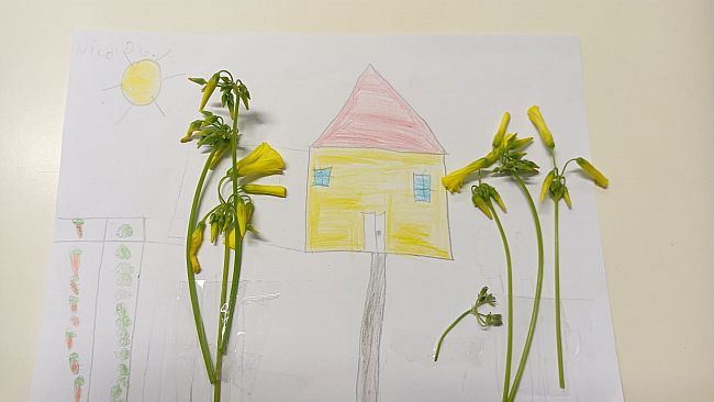 Mazara, gli studenti dell'I.C. Grassa- Quinci partecipano al progetto 