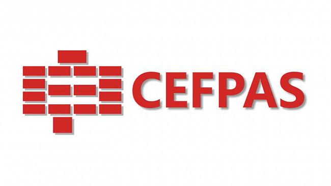 Caltanissetta, Cefpas:Corso sui Disturbi del Neurosviluppo per una diagnosi precoce e per implementare la rete regionale